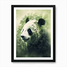 Panda Bear In The Forest 3 Art Print