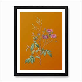 Vintage Pink Noisette Roses Botanical on Sunset Orange n.0241 Art Print