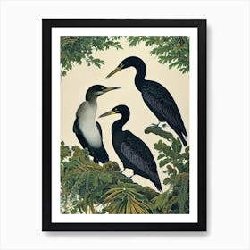 Cormorant Haeckel Style Vintage Illustration Bird Art Print