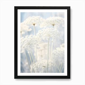 Frosty Botanical Queen Annes Lace 8 Art Print