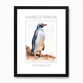 Humboldt Penguin King George Island Watercolour Painting 2 Poster Art Print