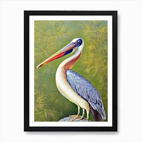 Pelican Haeckel Style Vintage Illustration Bird Art Print