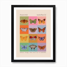 Colours And Butterflies Poster