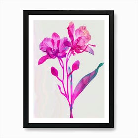 Hot Pink Orchid 1 Art Print