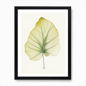 Ginkgo Leaf Illustration 2 Art Print
