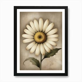 Daisy Canvas Print Denmark Art Print