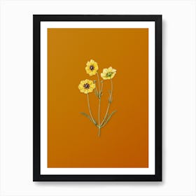 Vintage Perennial Dyer's Coreopsis Flower Botanical on Sunset Orange n.0874 Art Print