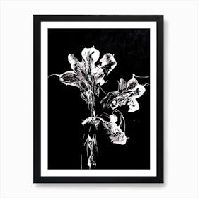 White Flower Black Background 2 Art Print