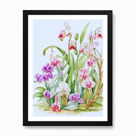 Orchids 2 Art Print