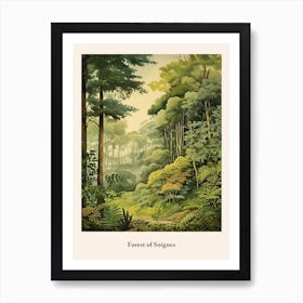 Forest Of Soignes Art Print