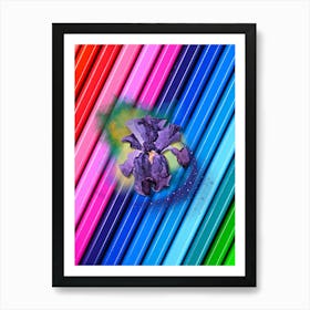 Abstract Purple Iris Art Print