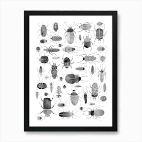 Beetles and Bugs Ink Painting Art Print