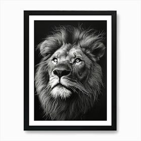 Barbary Lion Charcoal Drawing Portrait Close Up 2 Art Print