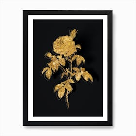 Vintage Provence Rose Bloom Botanical in Gold on Black n.0518 Art Print