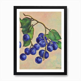 Damson 1 Vintage Sketch Fruit Art Print