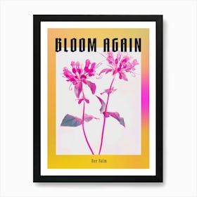 Hot Pink Bee Balm 2 Poster Art Print