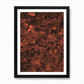 Close Up of Surreal Red Flowers Art Print