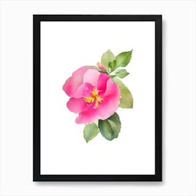 California Wild Rose Wildflower Watercolour Art Print