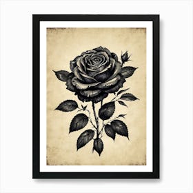 Black Rose Art Print