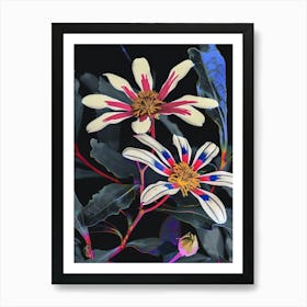 Neon Flowers On Black Cineraria 4 Art Print