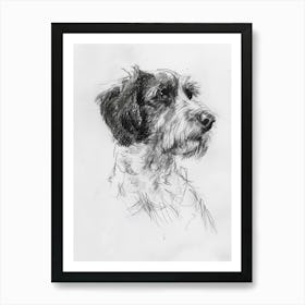 Otterhound Dog Charcoal Line 1 Art Print