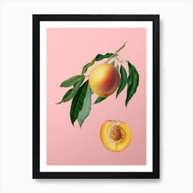 Vintage Peach Botanical on Soft Pink 2 Art Print