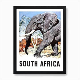 South Africa, Big Elephant Art Print