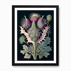 Thistle Wildflower Vintage Botanical 1 Art Print