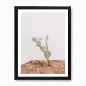 Cactus Plant Art Print