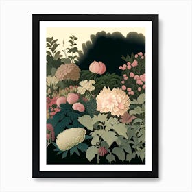 Mixed Perennial Beds Of Peonies 2 Vintage Sketch Art Print