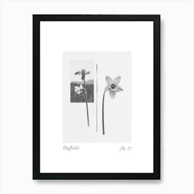 Daffodil Botanical Collage 5 Art Print