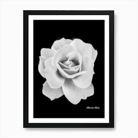 Black And White Rose Affiche