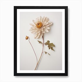 Pressed Flower Botanical Art Chrysanthemum 2 Art Print