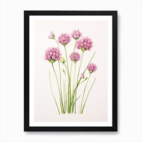 Chives Vintage Botanical Herbs 3 Art Print