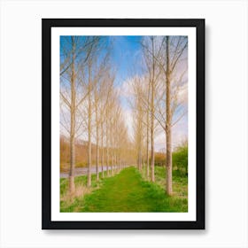 Avenue By The Tweed Art Print