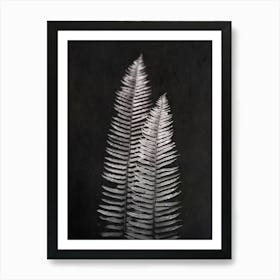 Forest Fern Leaves Black and Whtie Art Print