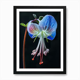 Blue Fuchsia Flower 1 Art Print