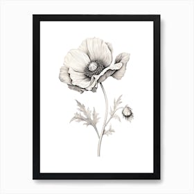 Anemones Flower Vintage Botanical 1 Art Print