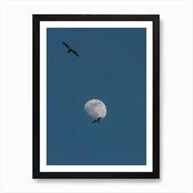 Moon And Seagulls Art Print