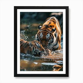 Tiger Cubs Playing In Water Art Print