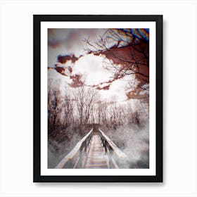 Bridge In The Woods Art Print