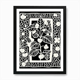 B&W Plant Illustration Hoya 3 Art Print