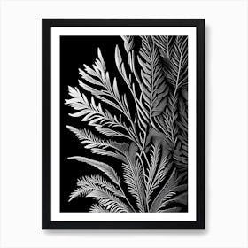 Pine Needle Leaf Linocut 1 Art Print