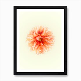 Orange Flower Art Print