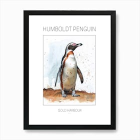 Humboldt Penguin Gold Harbour Watercolour Painting 2 Poster Art Print