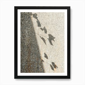 Shadow Of A Tree Art Print