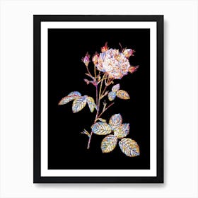 Stained Glass White Provence Rose Mosaic Botanical Illustration on Black n.0199 Art Print