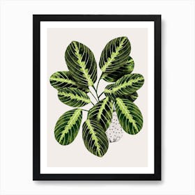 Maranta Plant Art Print