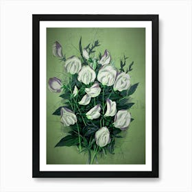 White Lilies Art Print