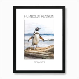 Humboldt Penguin Breakwater Watercolour Painting 3 Poster Art Print